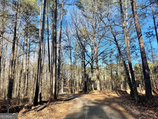 PADGETT RD, SENOIA, GA 30276 - Image d0fc2a28df6f8e71a714400a5740ad74/1911010460