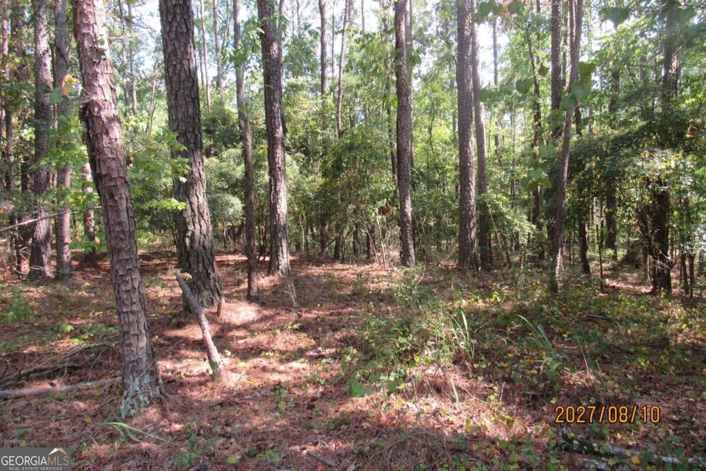 Photo of 704 S Chickasaw Trail SW, Sparta, GA 31087 (MLS # 10839733)