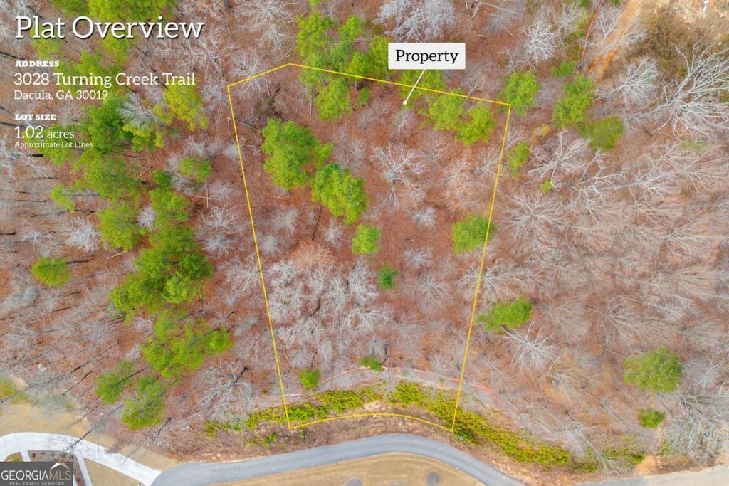 Photo of 3028 Turning Creek Trail, Dacula, GA 30019 (MLS # 10660894)