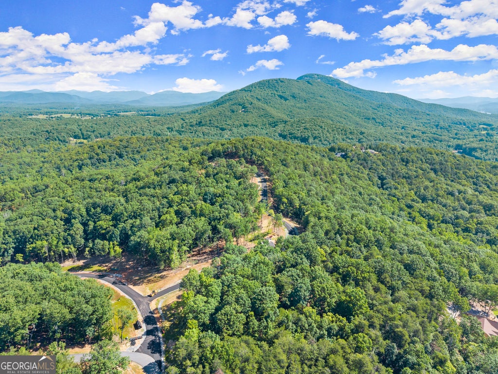 Photo of 227 Chimney Oaks Trail, Cleveland, GA 30528 (MLS # 10798937)