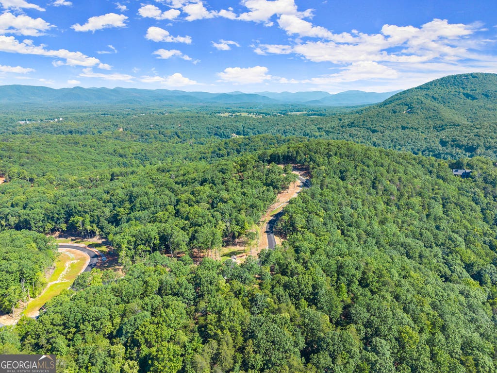 Photo of 227 Chimney Oaks Trail, Cleveland, GA 30528 (MLS # 10798937)