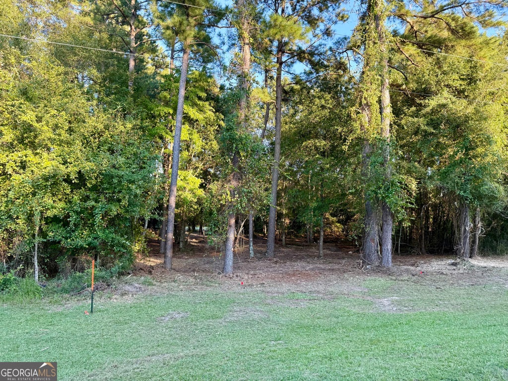 Photo of 0 Friendship Road, Sylania, GA 30467 (MLS # 10785698)