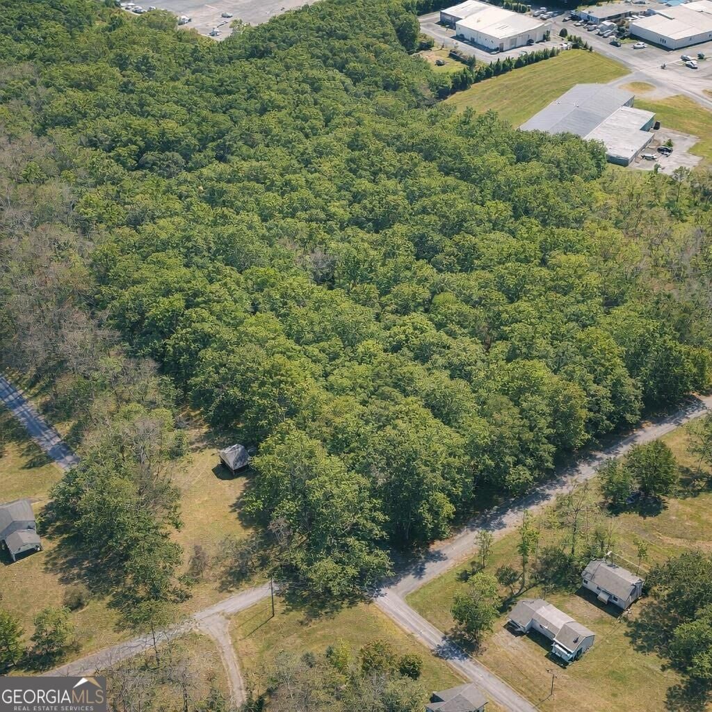 Photo of 0 Highway 100, Summerville, GA 30747 (MLS # 10851192)