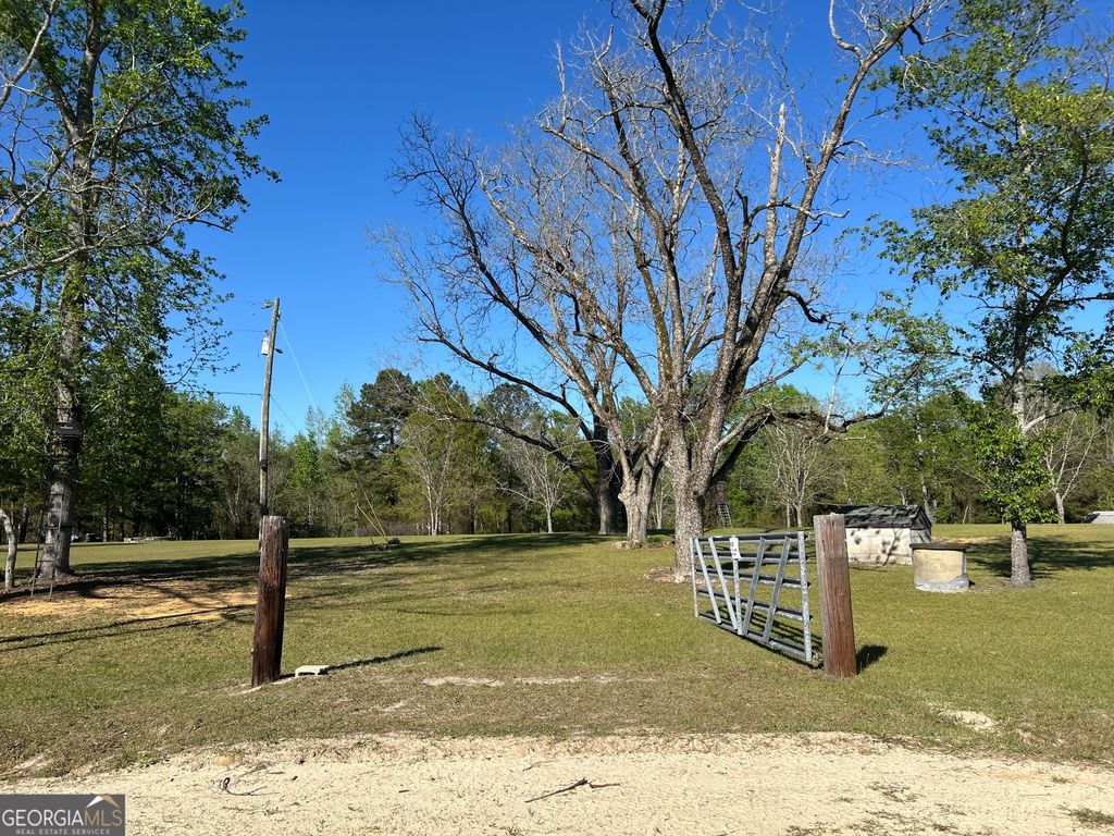 Photo of 4645 Pleasant Plains Road, Harrison, GA 31035 (MLS # 10720355)