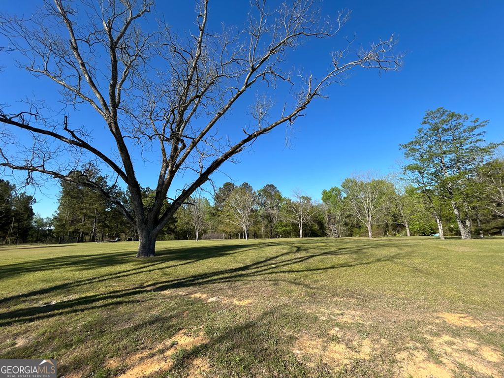 Photo of 4645 Pleasant Plains Road, Harrison, GA 31035 (MLS # 10720355)