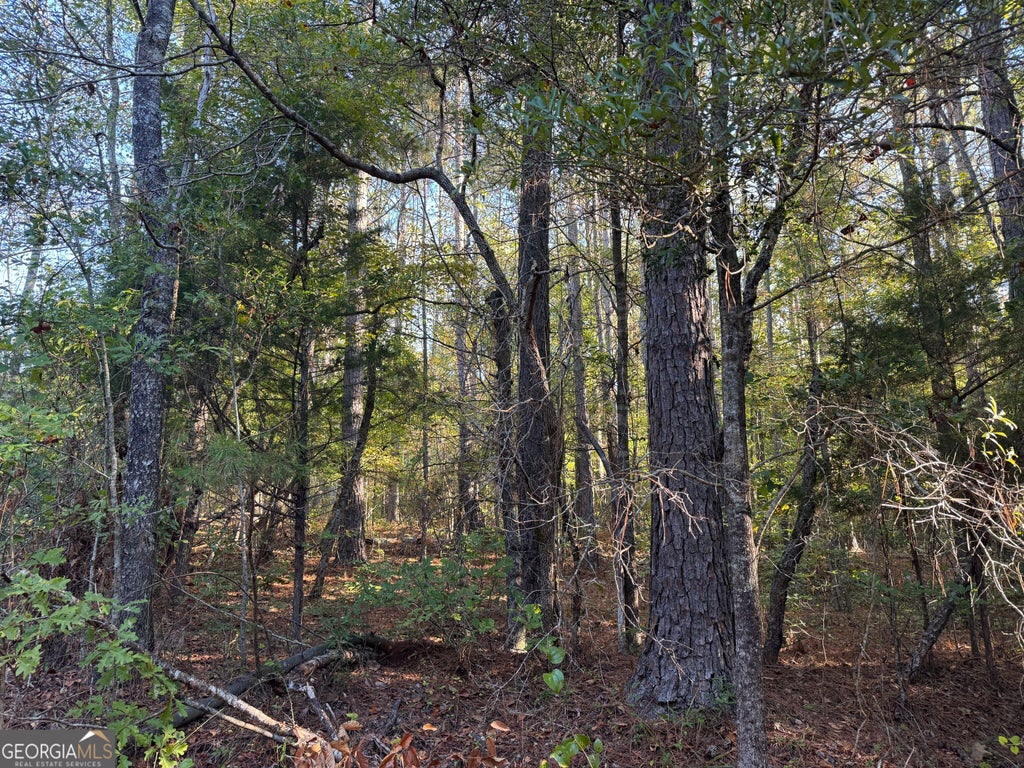 Photo of 12 Butler Road, Franklin, GA 30217 (MLS # 10875441)