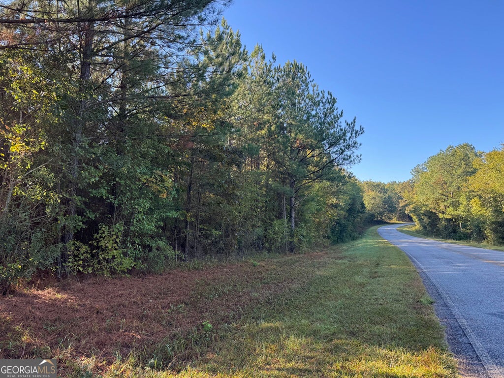 Photo of 12 Butler Road, Franklin, GA 30217 (MLS # 10875441)