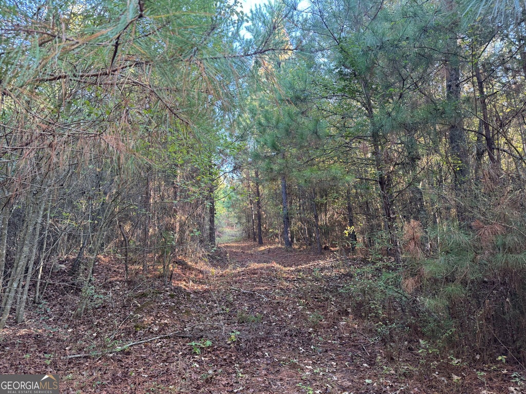 Photo of 12 Butler Road, Franklin, GA 30217 (MLS # 10875441)