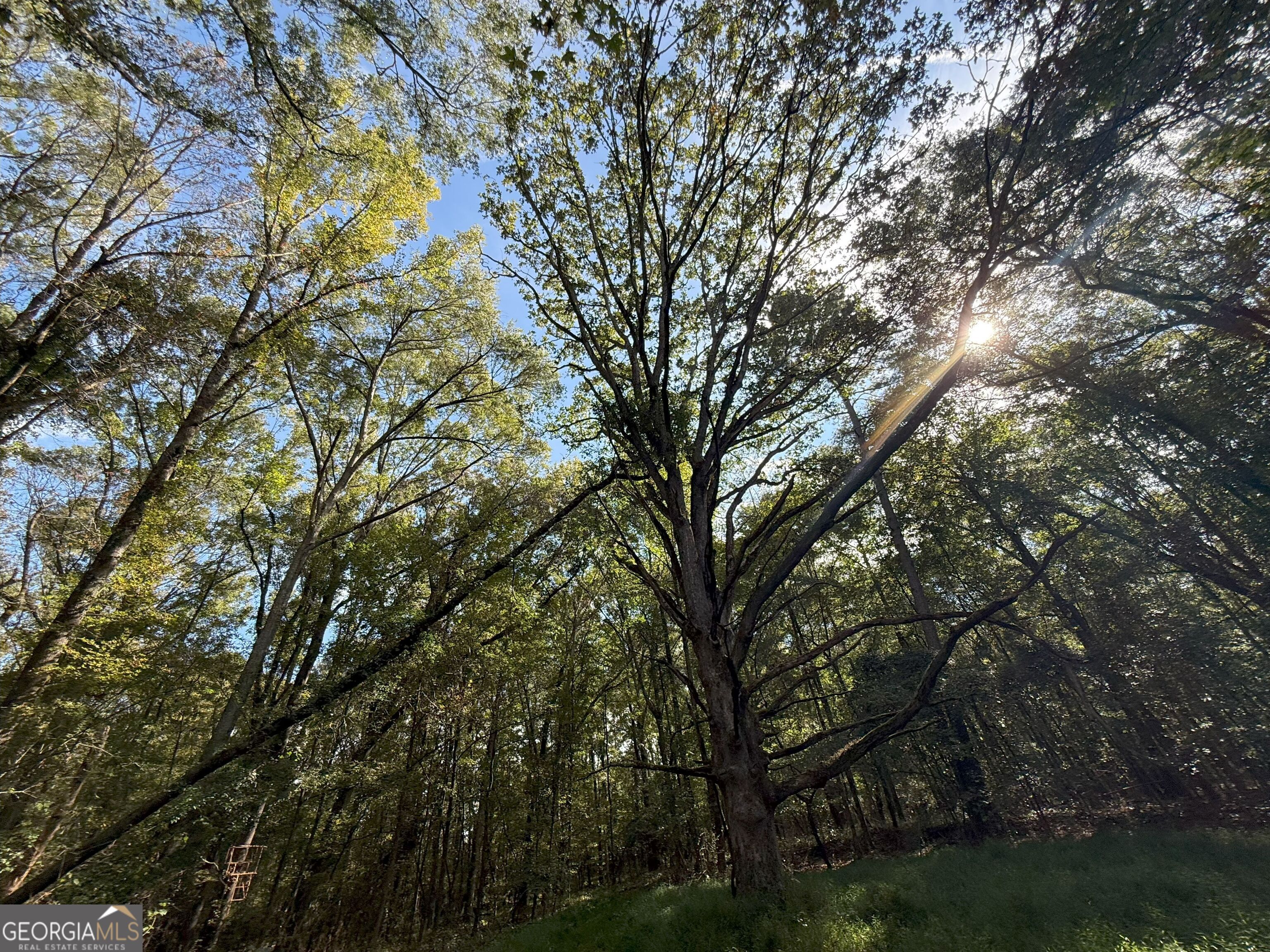 9894 Jefferson River RD