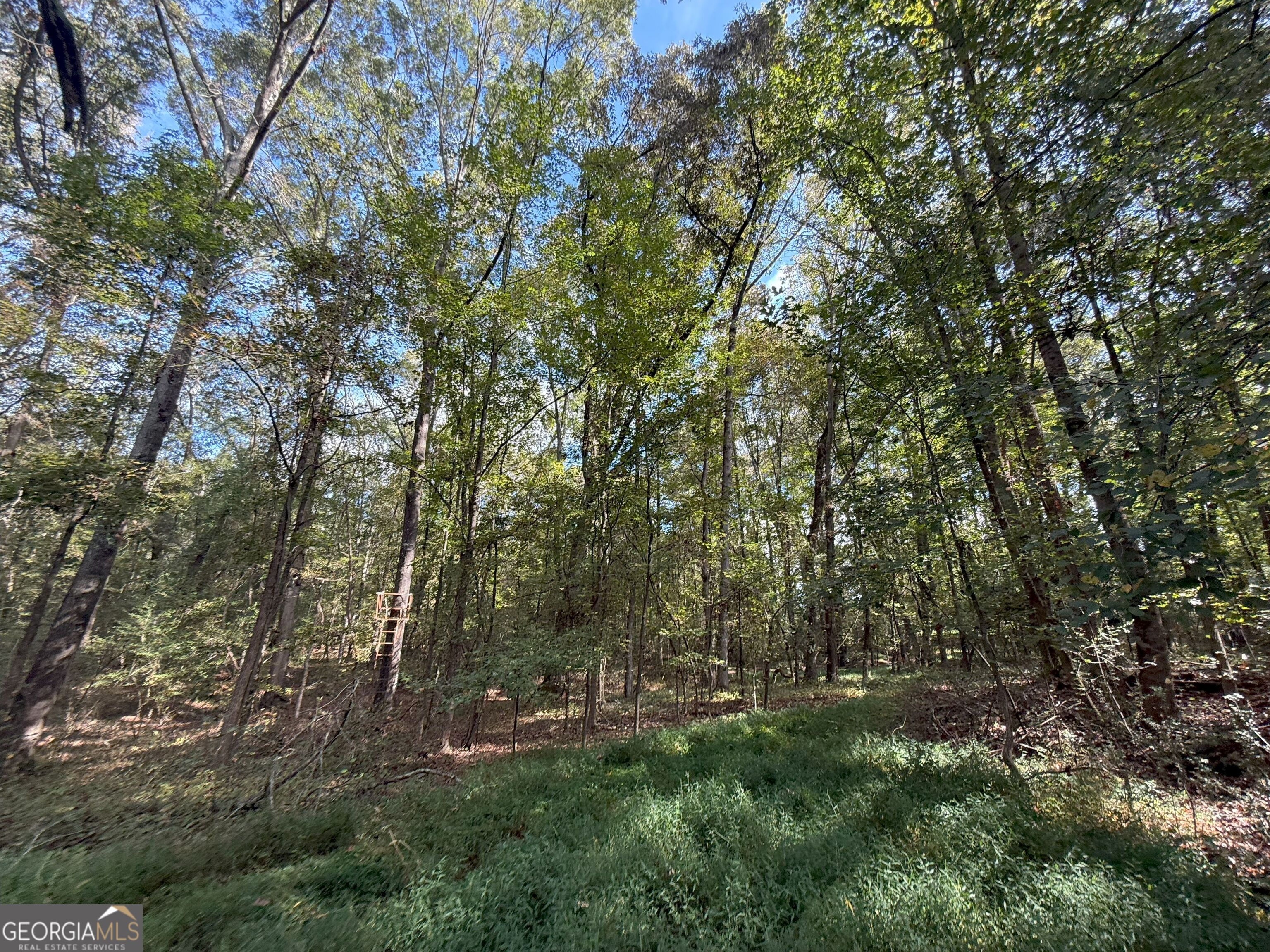 9894 Jefferson River RD