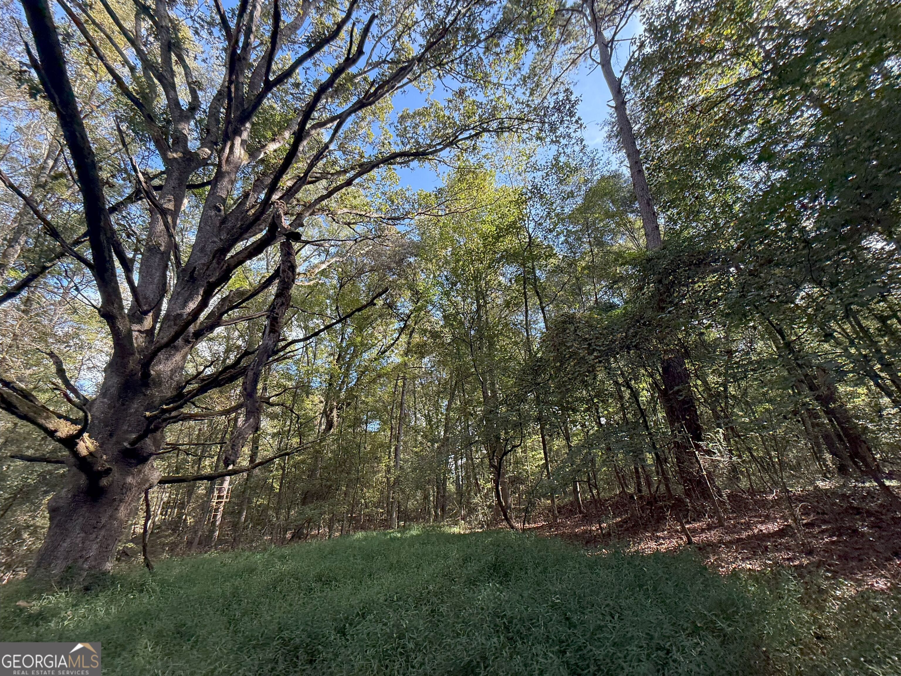 9894 Jefferson River RD