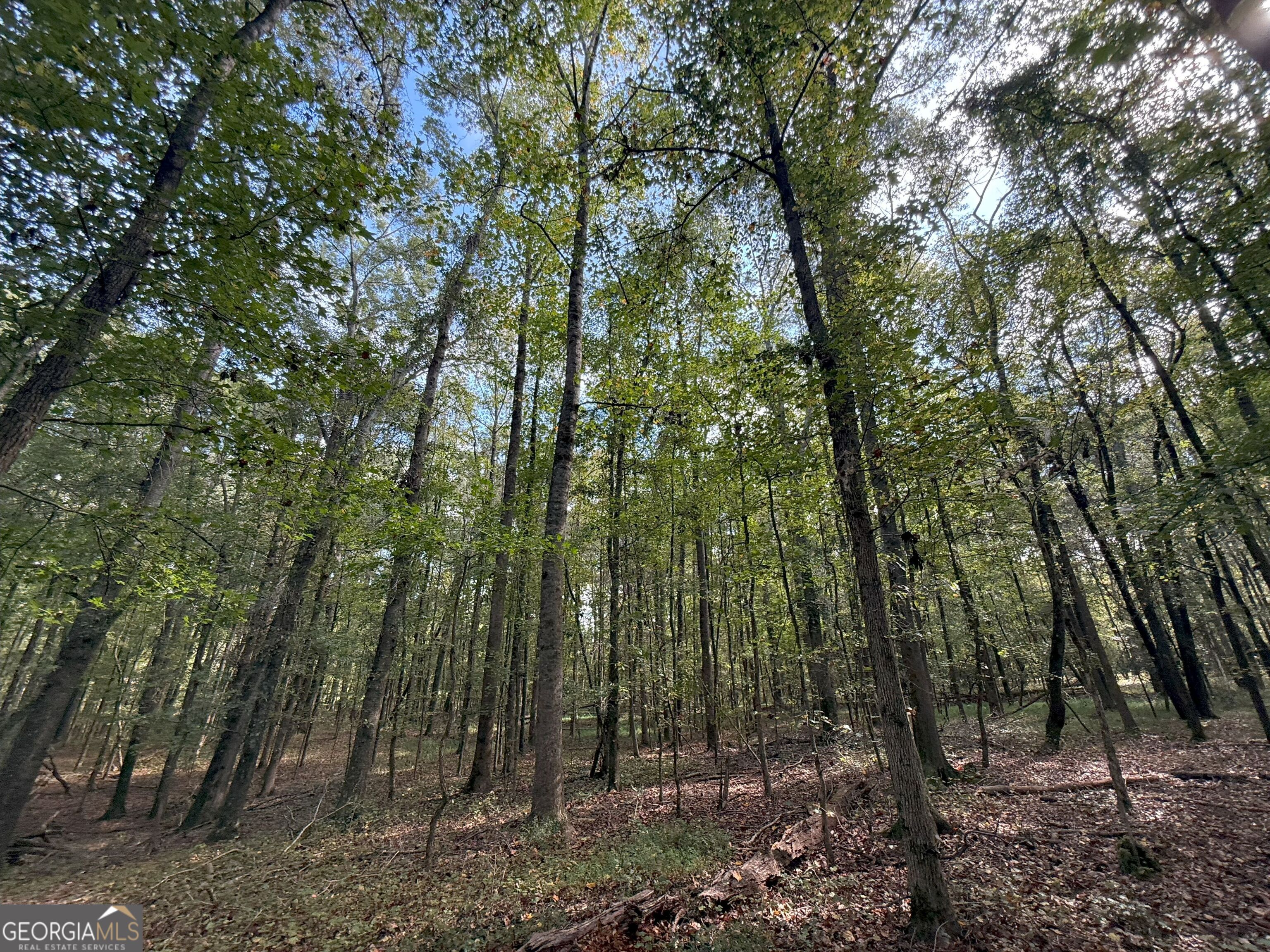 9894 Jefferson River RD