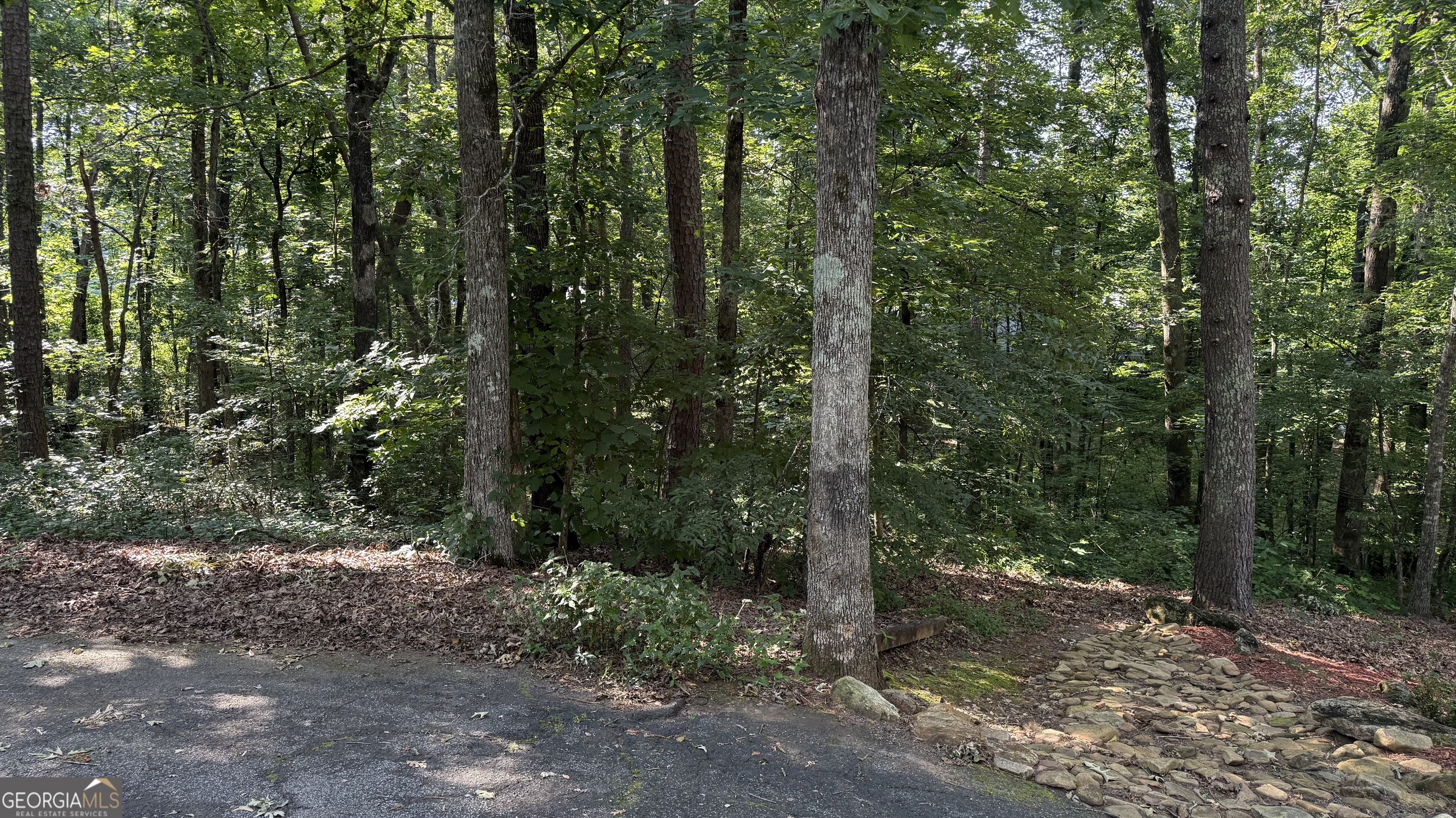 LOT 5 Stacey DR
