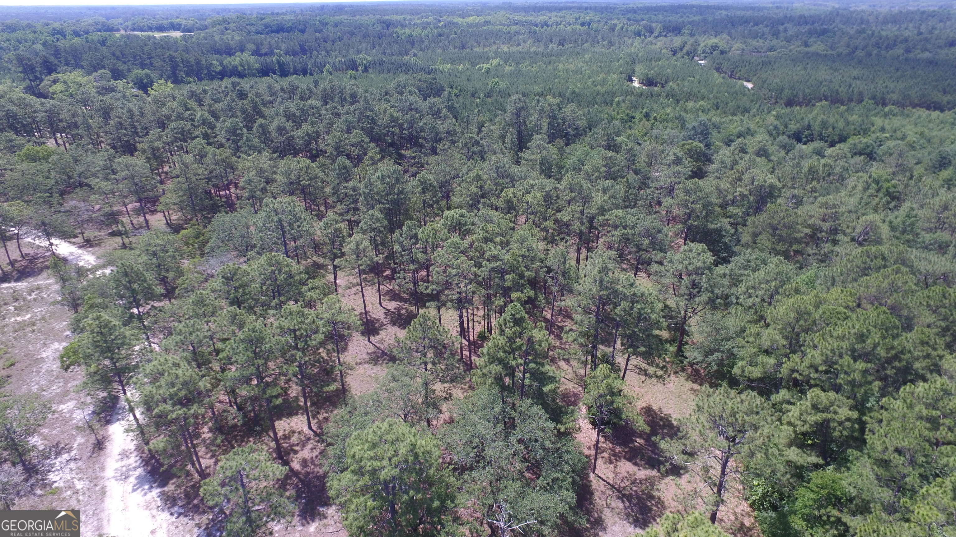 0 Ben Grady Collins RD LOT 1