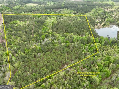 Photo of 1046 Brantley Road, East Dublin, GA 31027 (MLS # 10722299)