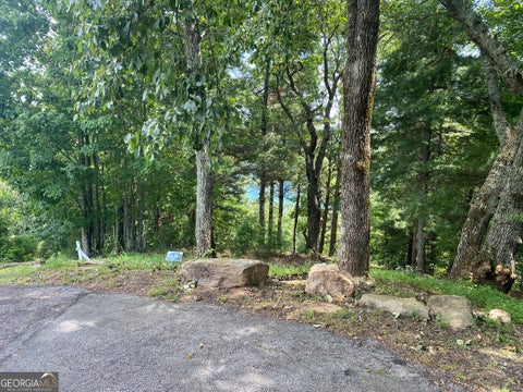 Photo of 29 Lake Rabun Bluffs Drive, Lakemont, GA 30552 (MLS # 10826073)