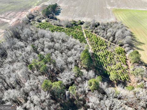 Photo of 0 Jenkins Farm Road, Byromville, GA 31007 (MLS # 10735338)