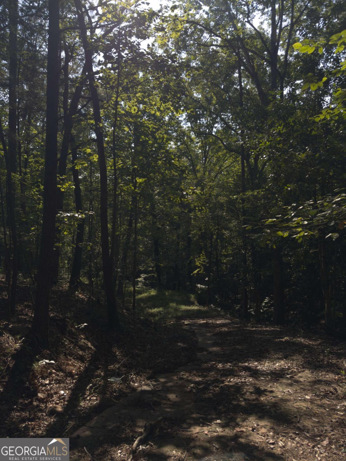 Don't miss this opportunity! Discover the perfect opportunity to build your dream home on this spacious, private and wooded lot situated in a peaceful area of Hall County, this property offers privacy, natural surroundings, and excellent potential for development. The lot offers a natural landscape with mature trees and a gentle topography, ideal for a custom residence, vacation retreat, or investment property. With its generous dimensions and privacy, you will have plenty of flexibility for home placement, outdoor living, or future improvements. Conveniently situated near Lake Lanier, schools, shopping, and major highways, this parcel combines the serenity of a residential neighborhood with quick access to Gainesville's amenities. Utility and septic system records can be confirmed with Hall County. Survey is already in place.