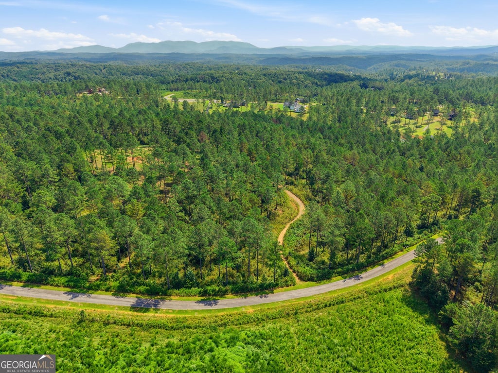 Photo of 28 Hillside Lane, Ellijay, GA 30540 (MLS # 10827729)