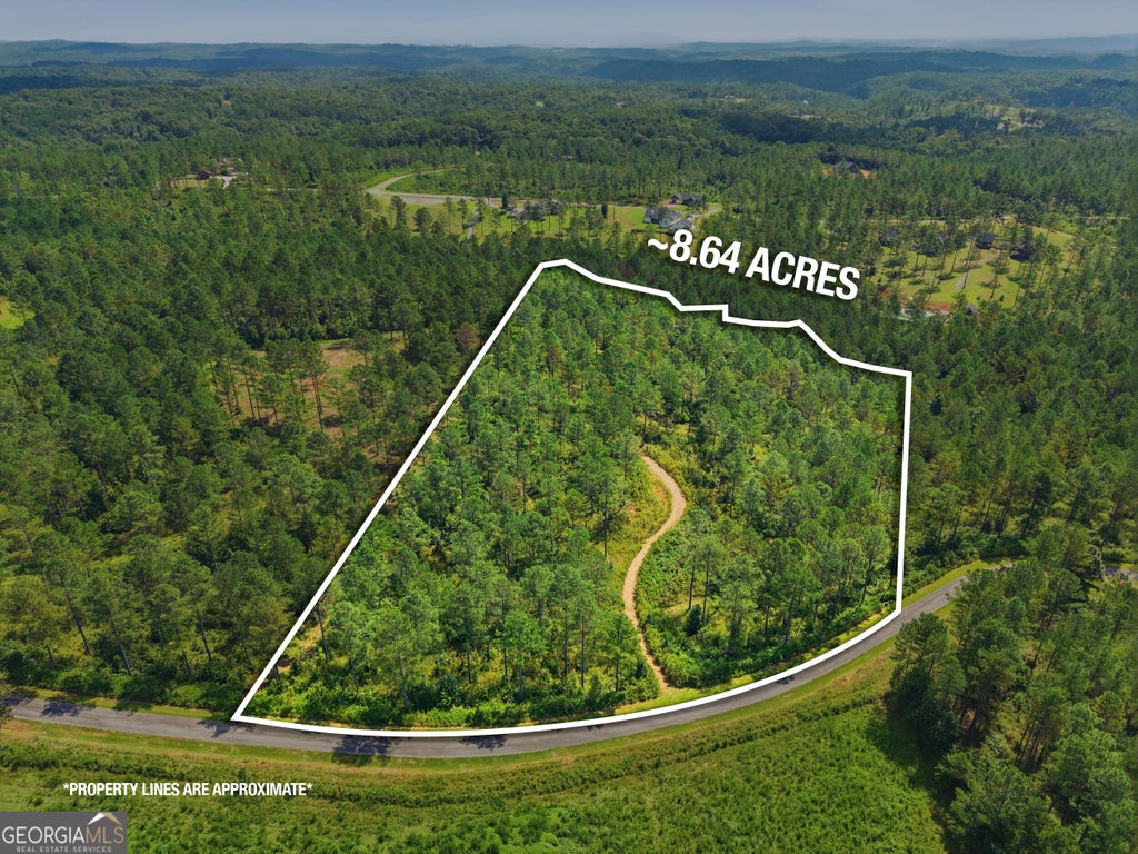 Photo of 28 Hillside Lane, Ellijay, GA 30540 (MLS # 10827729)