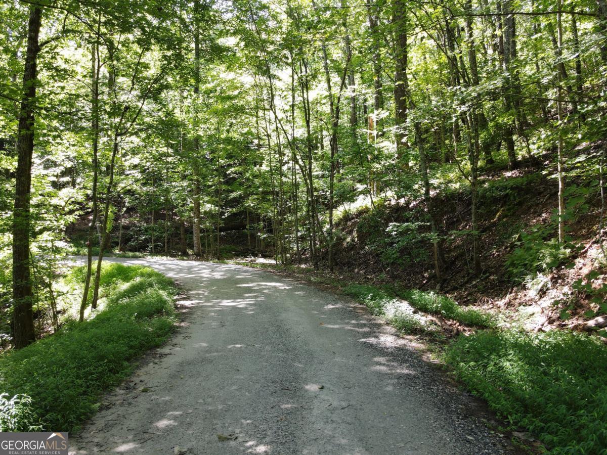 OWNER FINANCING AVAILABLE! Perched on Yonah! This is an area that is rarely available for sale. Limited properties in this gated community. This 1.96 Acre mountain plot has excellent elevation and a very gently sloped terrain offering building site options. Astounding long range views if trees are cleared. It's hard to see the view due to leaves on trees. This lot is East facing and sits ABOVE the road! Driveway and old road already pushed in. Gated Private community joins YONAH MOUNTAIN USFS . Small HOA fee of $350 per year. Protective restrictions, no rentals. A Fabulous opportunity to own a piece of Appalachia. Just minutes to Helen, Cleveland, Sautee Nacoochee, antique malls, fly fishing, wineries, shopping.
