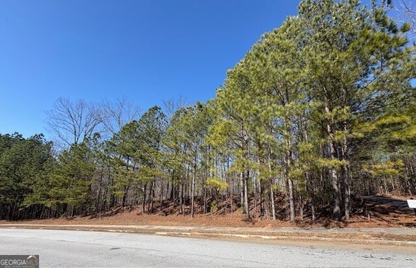 4340 BLUE RIDGE DR, DOUGLASVILLE, GA 30135 - Image d18fd6499cdee15fefc8d6845f024f9e/2498506683