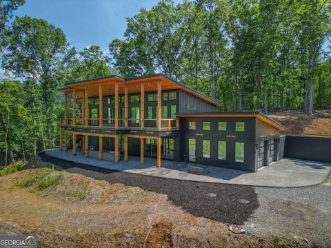 265 Park Glen LN Mineral Bluff GA 30559
