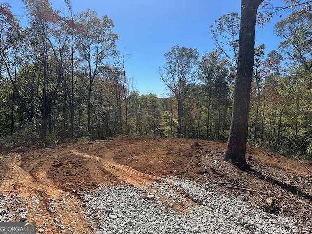 Photo of 371 Yancy Drive, Dawsonville, GA 30534 (MLS # 10835001)
