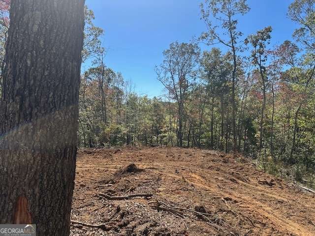 Photo of 371 Yancy Drive, Dawsonville, GA 30534 (MLS # 10835001)