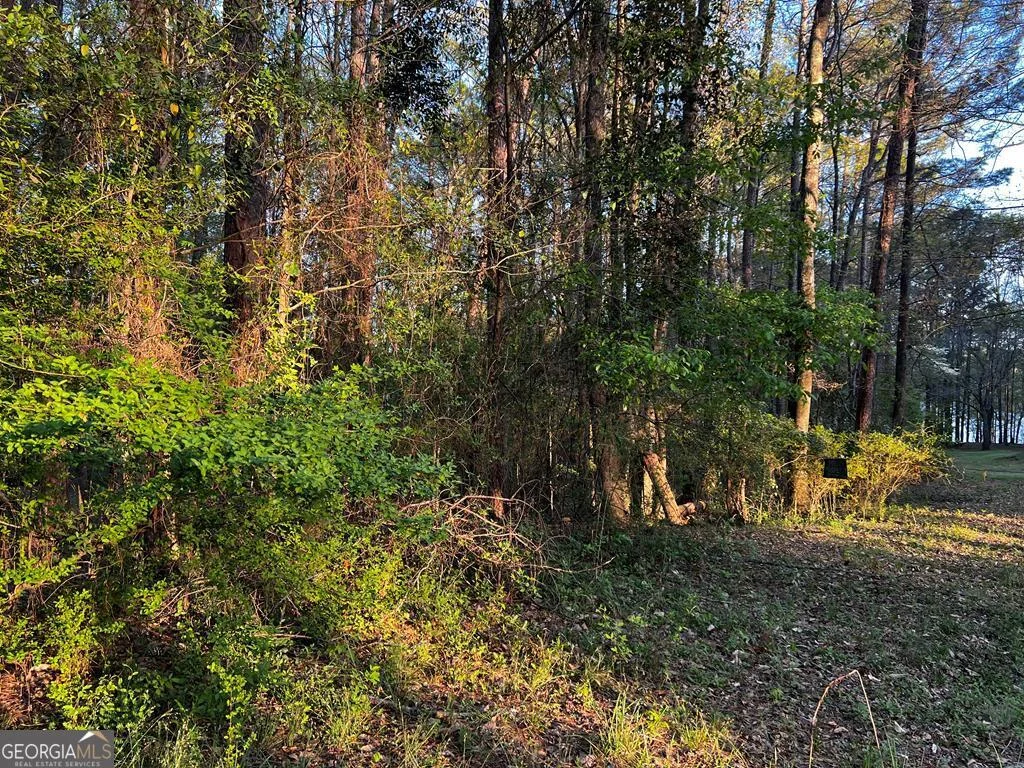 203 View Pointe Lane