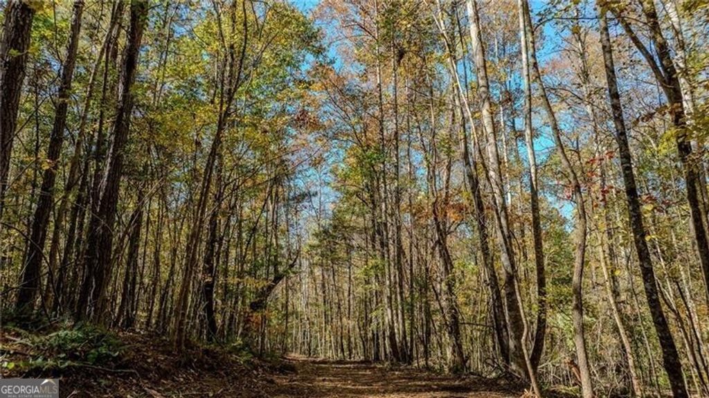 Photo of 0 Jones Ferry Road #3, Chattahoochee Hills, GA 30268 (MLS # 10649995)