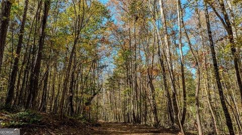 0 Jones Ferry RD 3 Chattahoochee Hills GA 30268