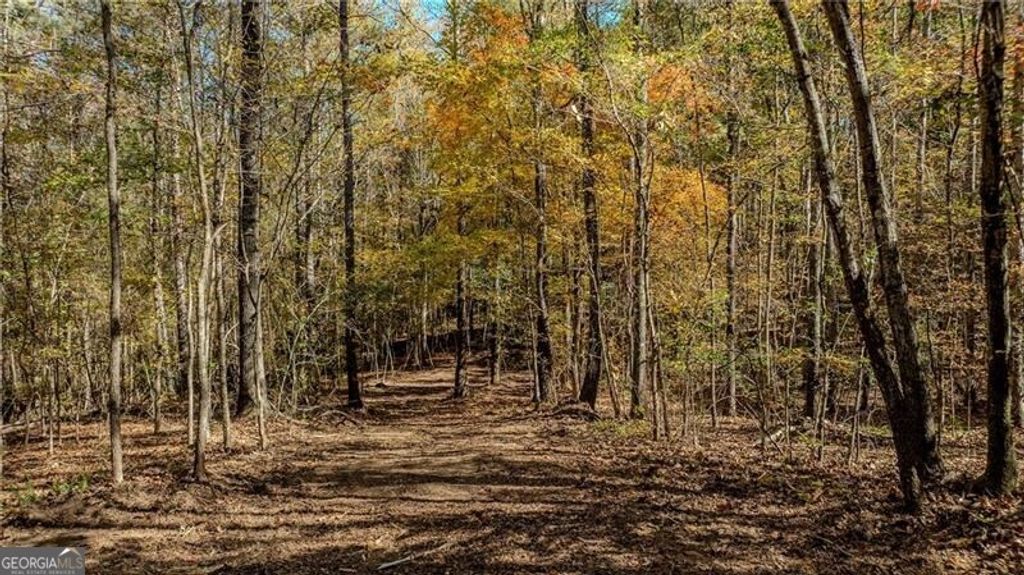 Photo of 0 Jones Ferry Road #3, Chattahoochee Hills, GA 30268 (MLS # 10649995)
