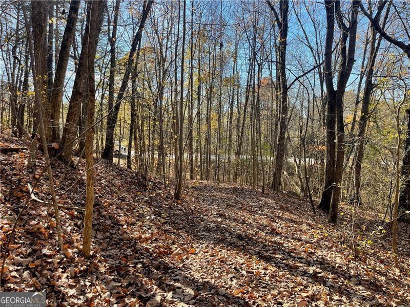 Potential Commercial! Canton Highway Road Frontage! Heavily wooded tract 4.21 acres ready to build your dream home/homes. 5 minutes from the City of Cumming and the new City Center. Driveway has been started along with a possible homesite. Super Private lot to build. Can be joined with the 3 acres next to it for a total of 7 acres (0 Canton Highway). Motivated seller!