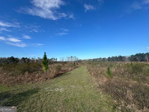 Photo of 1334 Shady Lane, Sylvania, GA 30467 (MLS # 10707231)