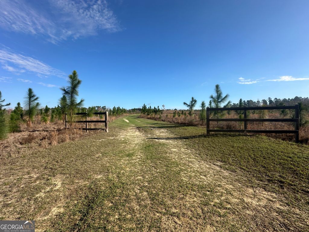 Photo of 1334 Shady Lane, Sylvania, GA 30467 (MLS # 10707231)