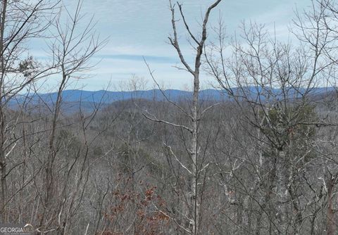 Photo of 235 Andes Ridge Drive, Ellijay, GA 30536 (MLS # 10481262)