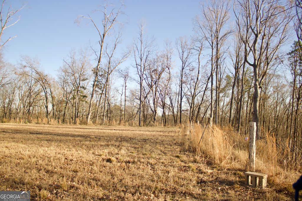 Photo of 45 Keeling Lake Road SE, Cartersville, GA 30121 (MLS # 10670592)