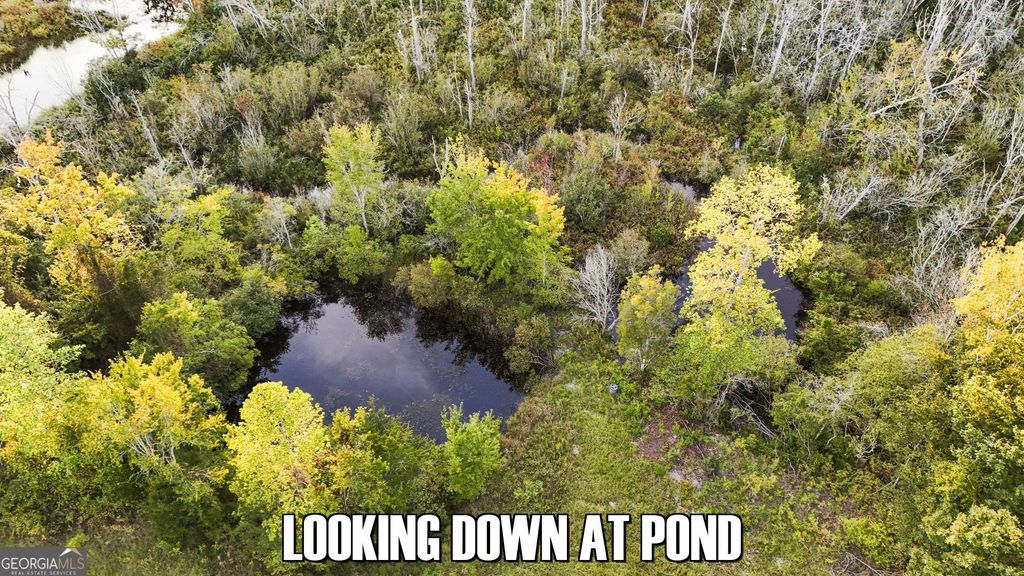 Photo of 412 GA Hwy 24, Sardis, GA 30456 (MLS # 10709444)