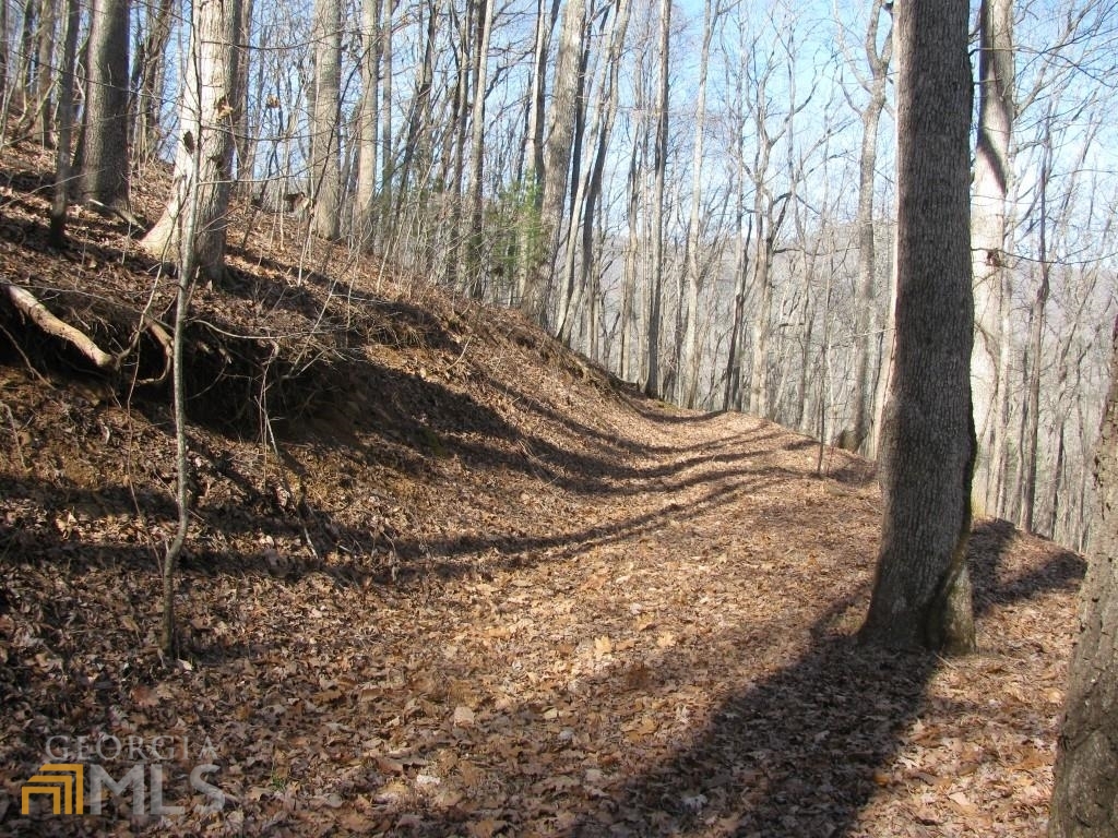 Bald Mountain Park - Residential