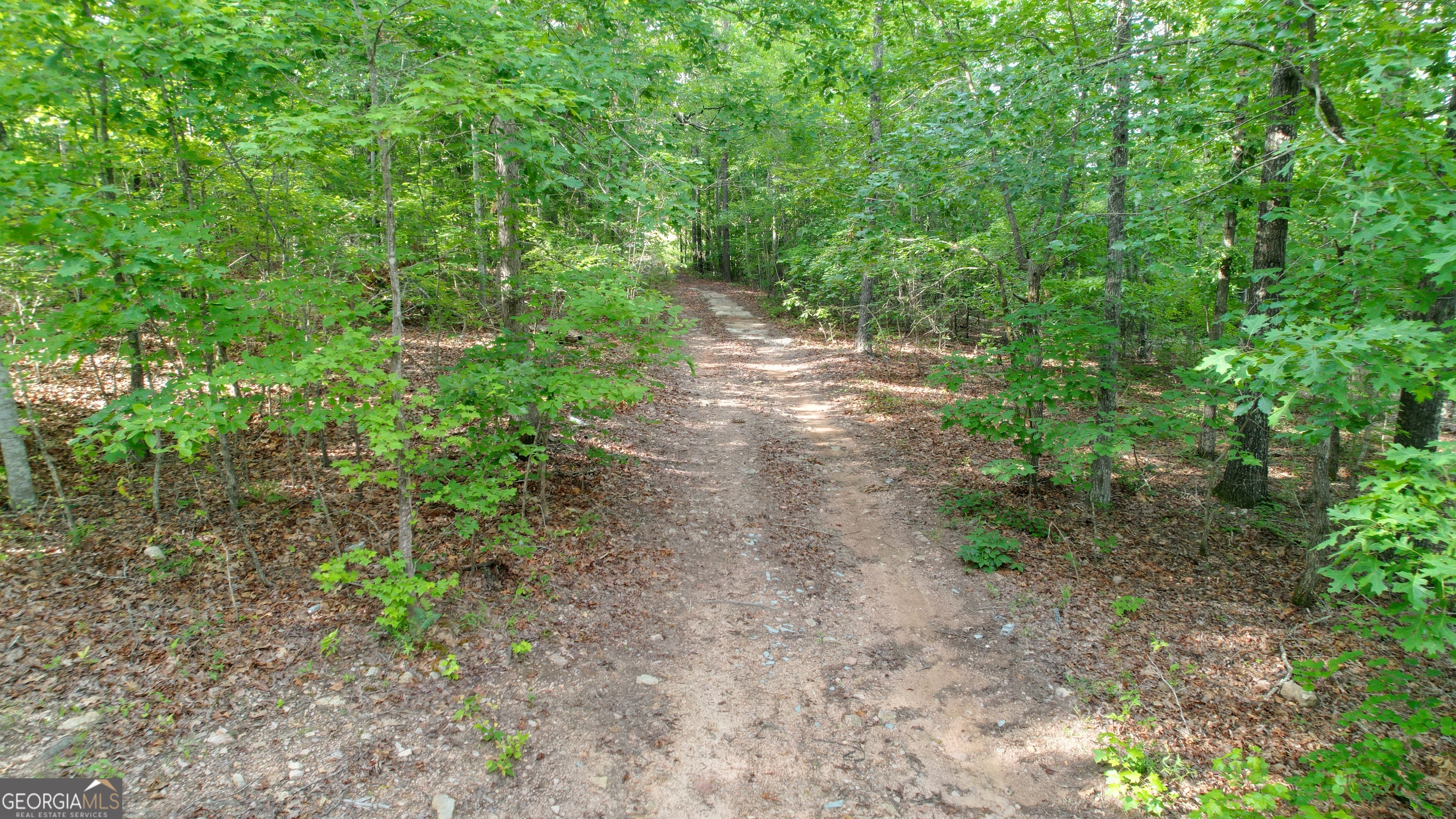 1138 Smyrna Church RD