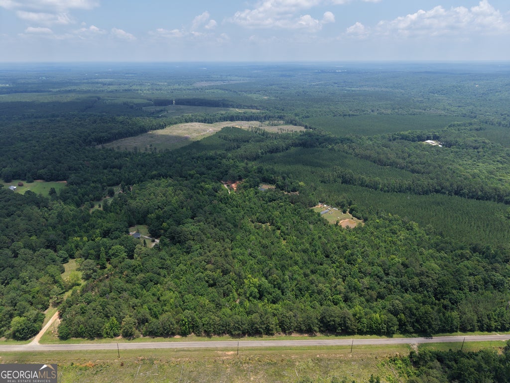 Photo of 1030 Flat Rock Road, Tignall, GA 30668 (MLS # 10797213)