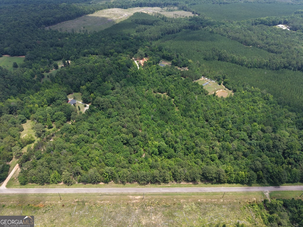Photo of 1030 Flat Rock Road, Tignall, GA 30668 (MLS # 10797213)