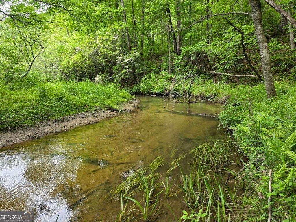 Photo of 409 Harrison Sluder Road #140, Ellijay, GA 30540 (MLS # 10762302)