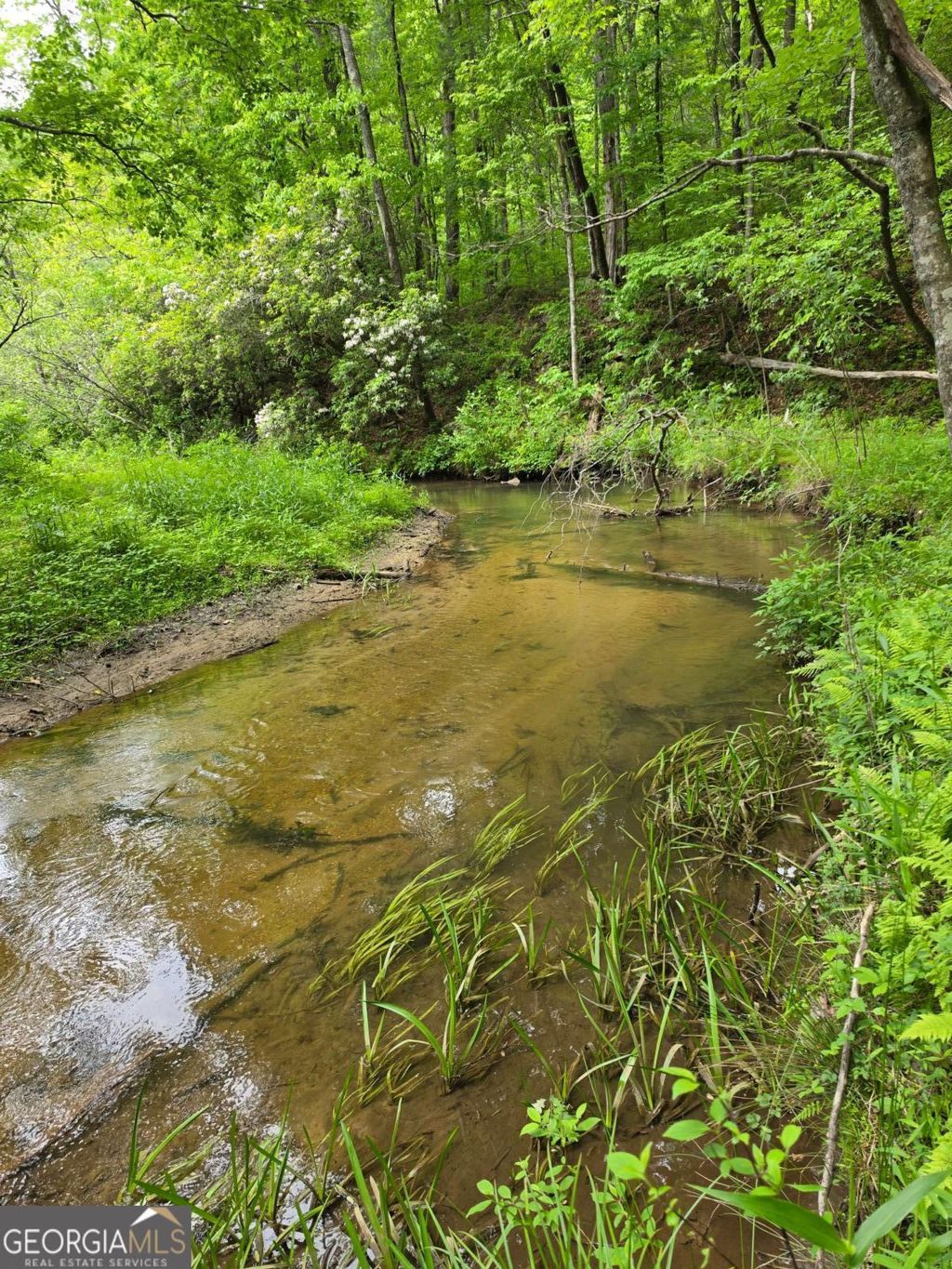 Photo of 409 Harrison Sluder Road #140, Ellijay, GA 30540 (MLS # 10762302)