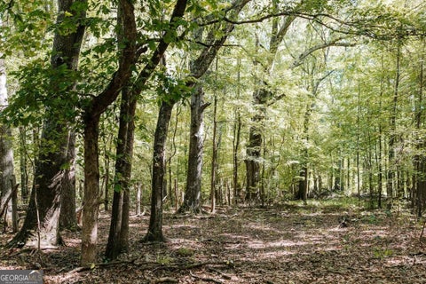 Photo for 0 Lundburg RD