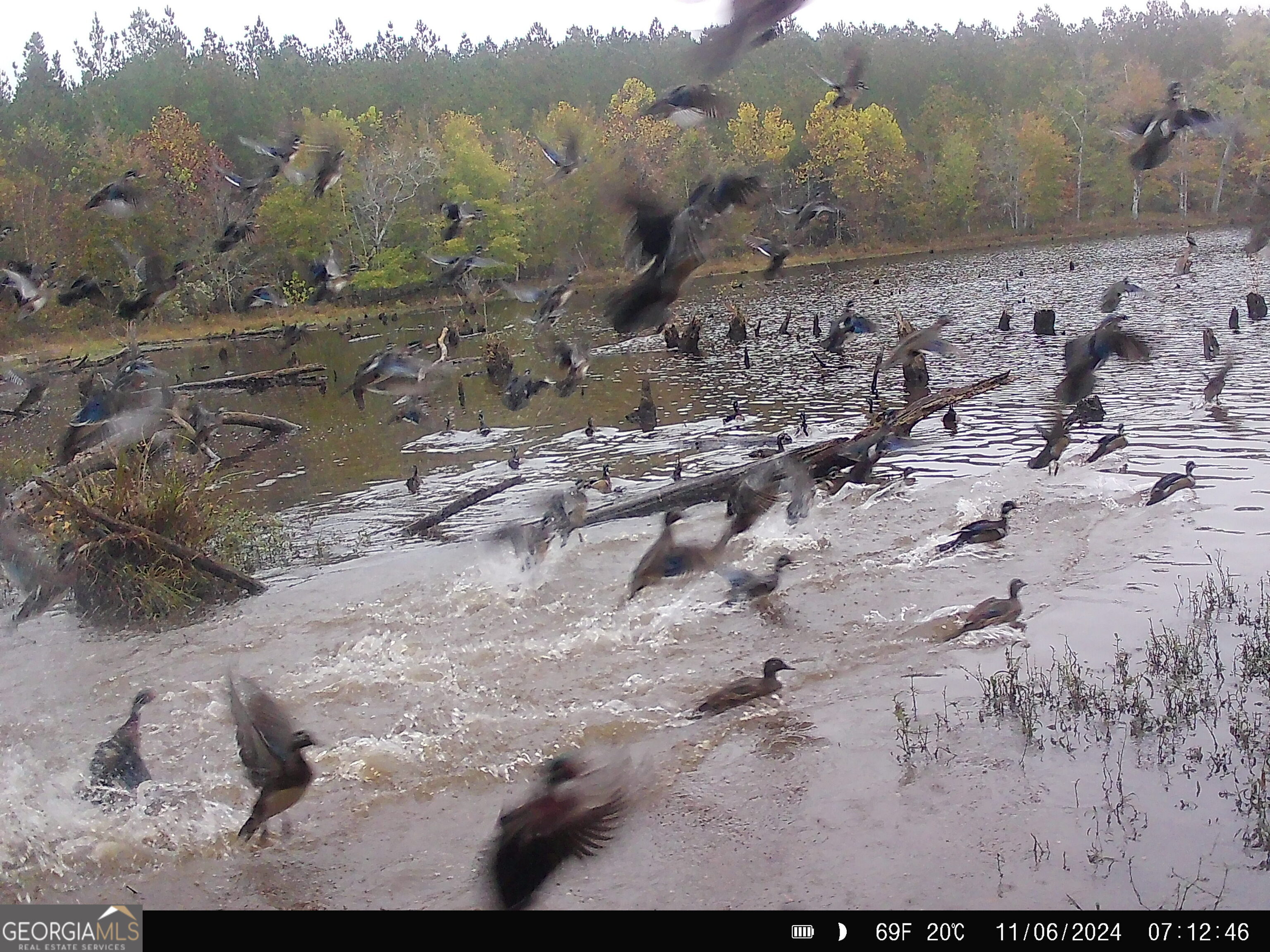 3312 Hunts Chapel Road