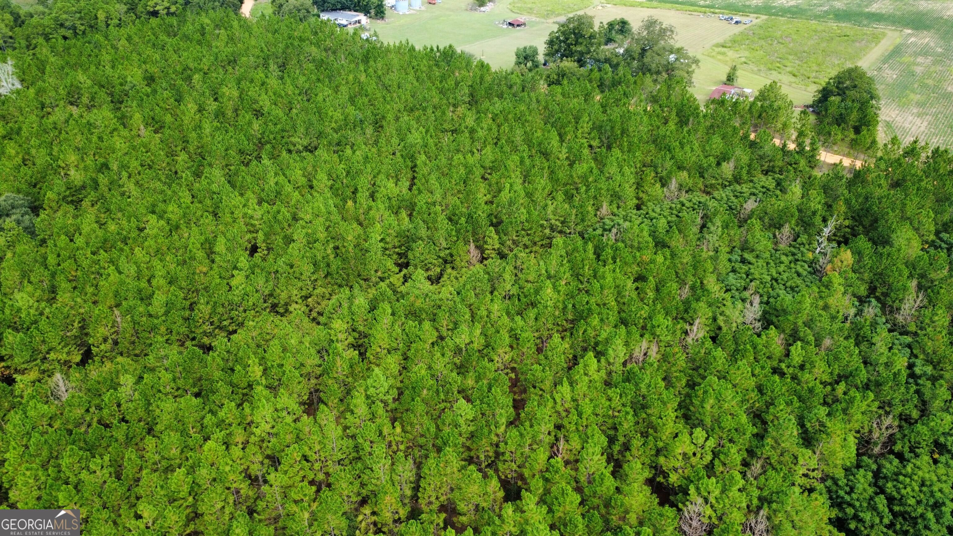 TRACT 2 A L Reeves RD