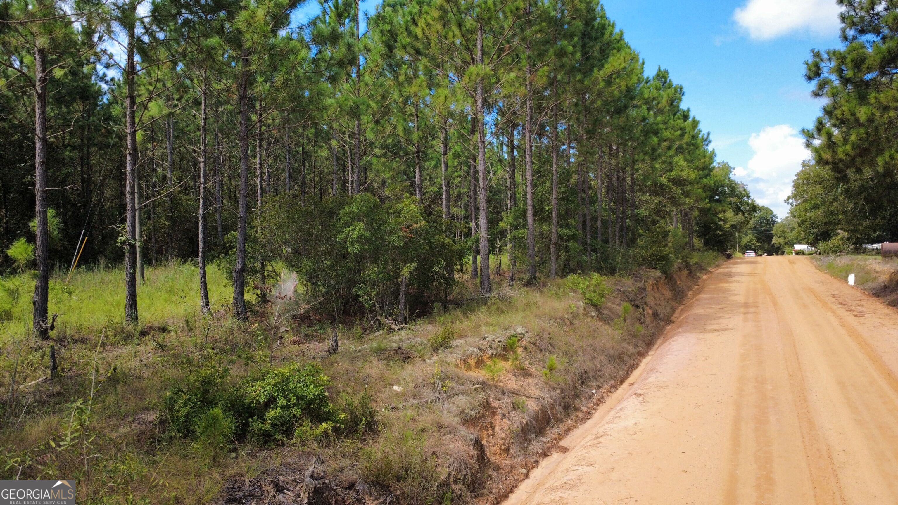 TRACT 2 A L Reeves RD