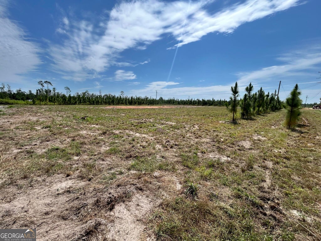 Photo of 2096 Sellers Road NW, Baxley, GA 31513 (MLS # 10831039)